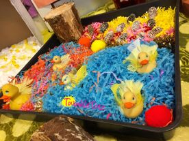 Twinkle Totz Day Nursery
